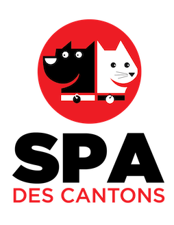 react-logo